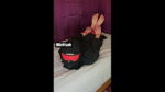Mia Niqab Compilation 9